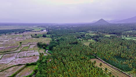 Forward-aerial-cinematic-view-of-fields-filled-with-coconut-trees-and-agriculture-fields-with-range-of-hills-at-background-in-Theni,-Tamil-Nadu