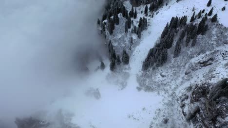 Kiefern-Durchdringen-Bewölkte,-Schneebedeckte-Klippen-Von-Braunwald-In-Der-Schweiz,-Luftaufnahme