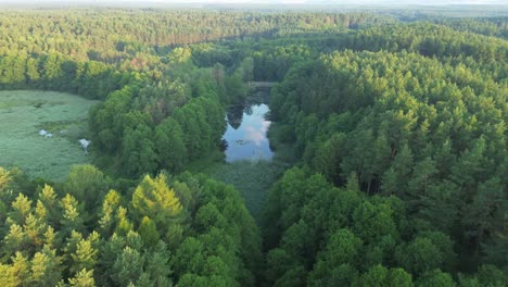 "Drone-over-Europe's-dawn-lit-lake-captures-tranquil-lagoon,-lush-forest,-and-serene-ponds