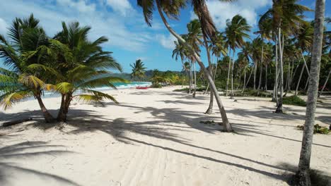 Was-Für-Eine-Atemberaubende-Kamerafahrt-An-Einem-Der-Schönsten-Strände-Der-Welt-–-Playa-Rincon-In-Der-Dominikanischen-Republik