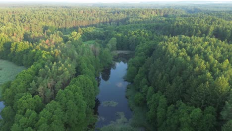 Drone-soars-over-Europe's-dawn-lit-lake,-revealing-tranquil-lagoon,-lush-forest,-and-a-serene-pond