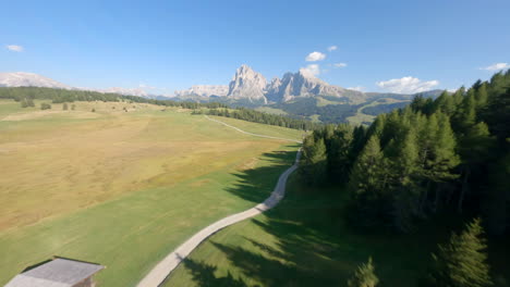 FPV-drone-aerial-view-speeding-between-alpine-forest-trees-to-reveal-stunning-Italian-Dolomites-mountain-range
