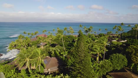 Evergreen-and-palm-trees-overlook-beautiful-Pacific-ocean-coastline