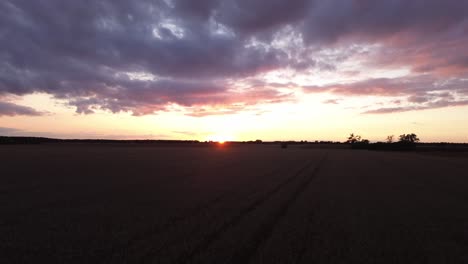 „Drohnenflug-über-Felder-Bei-Sonnenuntergang,-Der-Ernten,-Getreide-Und-Einen-Lebendigen-Abendhimmel-Enthüllt