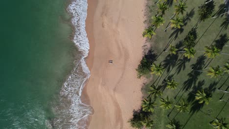 A-couple-lies-on-the-beach,-filmed-from-above