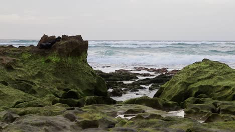 Erstaunliche-Filmische-Meereslandschaft-Mit-Felsen-Voller-Grünem-Moos,-Meerwasserpfützen-Und-Großen-Wellen