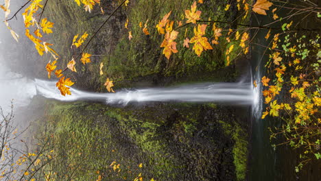 Vertical-View-Of-Horsetail-Falls-During-Autumn-In-Multnomah,-Oregon,-USA
