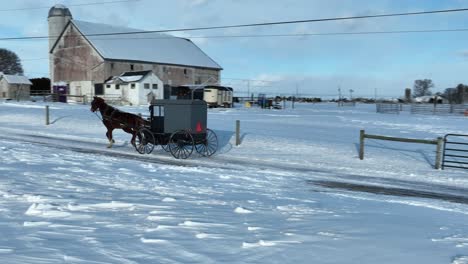 Amisches-Pferd-Und-Buggy-Unterwegs-Mit-Schneeverwehungen-Am-Wintertag