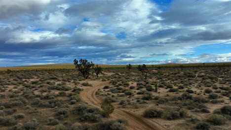 Winding-dirt-road-through-the-Mojave-Desert-under-cloudy-skies,-Joshua-trees-dotting-the-landscape,-aerial-view