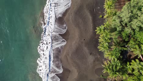 Playa-De-Arena-Entre-Aguas-Cristalinas-Y-Un-Exuberante-Bosque-De-Palmeras,-Plage-De-Grande-Anse,-Guadalupe,-Caribe-Francés
