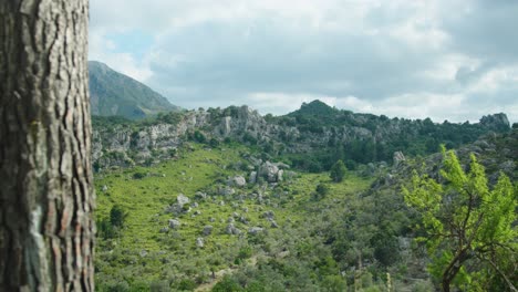 Mallorca's-vibrant-green-mountains,-a-captivating-scene-of-lush-slopes-and-rolling-hills