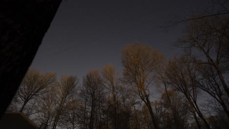 Nachthimmelsterne-Im-Zeitraffer-über-Silhouettierten-Waldbäumen