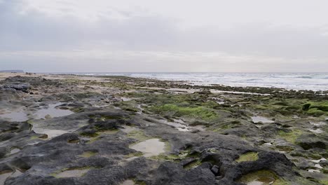 Ruhige-Filmische-Meeresszene-Mit-Aufrollenden-Wellen-Im-Hintergrund-Und-Moosfelsen,-Wasserpfützen-Und-Kieselsteinen-Im-Vordergrund-In-Porto-Santo-–-Portugal,-Statische-Aufnahme-Mit-50-Bildern-Pro-Sekunde