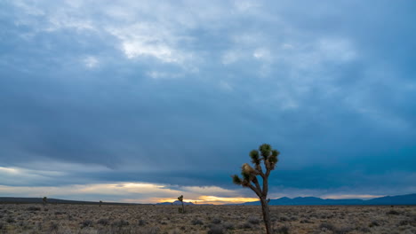 Vast-Mojave-Desert-landscape-at-dusk-with-scattered-Joshua-trees,-timelapse