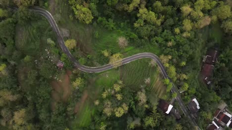 Beautiful-aerial-view-of-the-tropical-country-of-Indonesia,-winding-roads-lined-with-forests,-rice-fields-or-villages