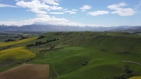 Panorama-Drohnenaufnahme-Von-Rapsfeldern-Auf-Der-Südinsel-Neuseelands.-Der-Kontrast-Des-Leuchtenden-Gelbs-Vor-Dem-Hintergrund-Schneebedeckter-Berge-Schafft-Eine-Atemberaubende-Visuelle-Szene