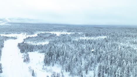 Panorama-Der-Schneebedeckten-Dichten-Wälder-Im-Pyha-Luosto-Nationalpark-In-Finnland