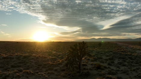 Sunrise-over-Mojave-Desert-with-silhouette-of-shrubbery,-wide-angle-shot