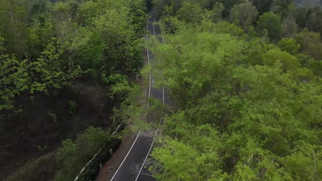 Luftaufnahme,-Radfahrer-Fahren-Bergauf-Durch-Eine-Kurvenreiche-Straße-Mit-Dichtem-Wald