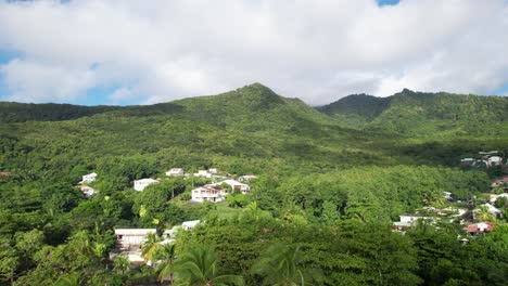 Houses-immersed-in-wild-nature-near-Plage-De-Grande-Anse-beach,-Guadeloupe