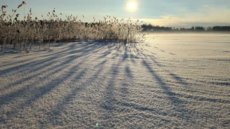 Neblige-Winterlandschaft,-Verschneites-Meer,-Hintergrundbeleuchtung,-Aufsteigender-Schuss