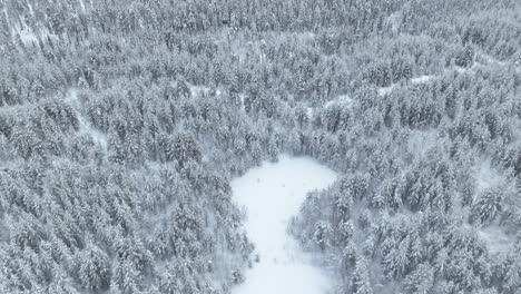 Luftdrohnenaufnahme-Von-Schneebedeckten-Bäumen-Im-Pyhä-Luosto-Nationalpark-Im-Finnischen-Lappland,-Finnland