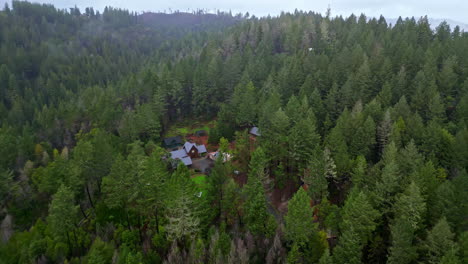 Aerial-Drone-Fly-Above-Hidden-Houses-Village-around-Green-Redwoods-Pine-Forest