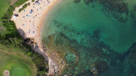 Bird's-Eye-View-Over-The-Famous-Little-Bay-Beach-With-Tourists-In-Sydney,-New-South-Wales,-Australia---Drone-Shot