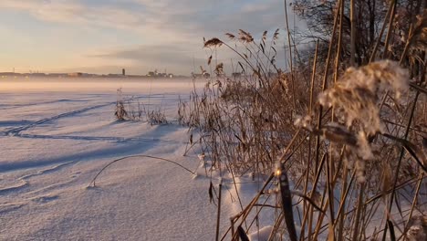 Peaceful-winter-landscape,-dreamy-frozen-sea,-calm-winter-moment
