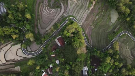 Beautiful-aerial-view-of-the-tropical-country-of-Indonesia,-winding-roads-lined-with-forests,-rice-fields-or-villages