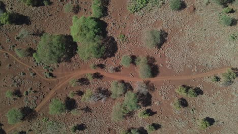 Red-arid-soil-crossed-by-pathways,-African-savanna-landscape,-aerial-top-down