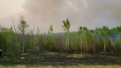 Driving-along-forest-fire-with-flames-and-smoke-partly-charred-remains-after-wildfire-on-a-cloudy-day