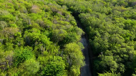 Aerial-dolly-above-paved-road-in-arid-tropical-island,-exploring-the-island-of-Curacao