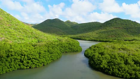 Mangrove-lagoon-of-santa-cruz-with-Christoffelberg-hills-in-distance