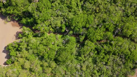 Drone-top-down-pan-establishes-hidden-cove-of-playa-Santu-Pretu