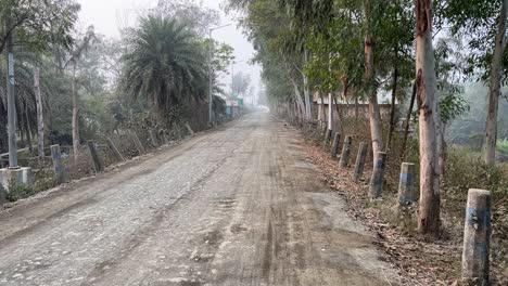 Vista-De-Perfil-De-Un-Camino-Vacío-De-Un-Pueblo-Rural-Rodeado-De-árboles-Y-Arbustos-En-Kolkata,-India