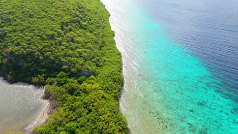 Tropical-Caribbean-coastline-with-mangroves-up-against-vibrant-clear-light-blue-water-to-deep-blue-drop-off,-aerial