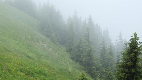 Mist-weaves-its-way-over-Austrian-landscape,-embracing-rolling-hills