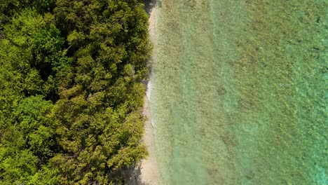 Rocky-ocean-beach-with-clear-water-built-up-against-mangrove-forest