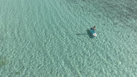 Woman-stand-up-paddle-boarding-in-tropical-shallow-water,-aerial
