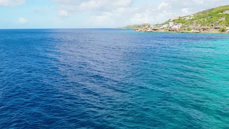 Fregattvogel-Taucht-In-Kristallklares-Wasser-Auf-Der-Jagd-Nach-Fischen-Vor-Der-Küste-Von-Curaçao,-Während-Gelbflossenthun-Im-Wasser-Schwimmt,-Drohnenübersicht