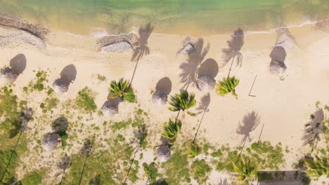 Tropical-beach-bungalow-umbrellas-cast-long-shadows-on-golden-sandy-shoreline,-aerial-descending