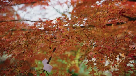 4k-Herbstliche-Ahornblätter-Am-Katsuoji-Tempel-In-Minoh,-Osaka,-Japan
