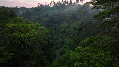 Misty-clouds-caught-between-trees-shroud-tropical-river-valley-jungle,-aerial-push-in
