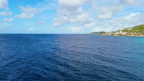 Brown-booby-and-frigate-birds-soar-in-the-heavens-above-coral-reef-drop-off-zone-in-Caribbean,-aerial
