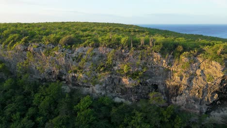 Panoramic-aerial-establishing-overview-of-rocky-cliff-and-dry-arid-vegetation