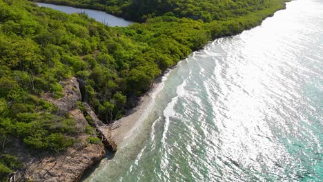 Aerial-ascend-to-ocean-waves-rolling-and-crashing-onto-mangrove-rugged-vegetation-on-coastline