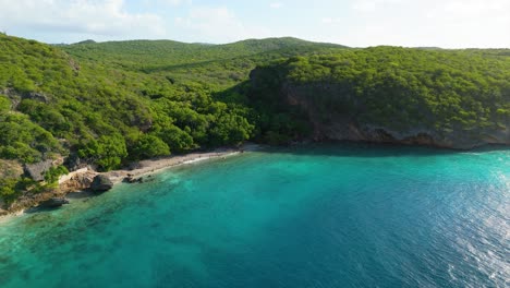 Aerial-establish-of-hidden-scenic-cove-and-tall-cliff-with-Playa-Hundu-clear-waters-of-Curacao