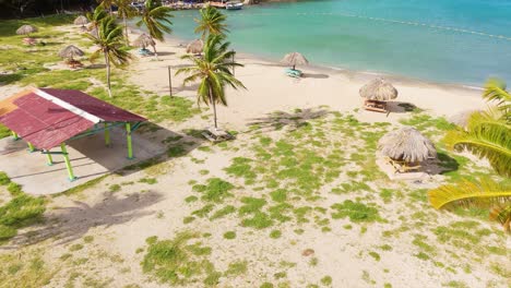 Orbit-reveals-Santa-Cruz-beach-around-palm-tree,-tropical-sandy-paradise