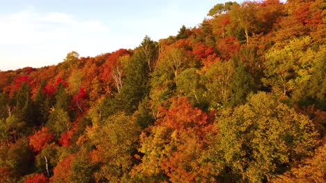 Bewegende-Aufnahme-über-Einem-Farbenfrohen-Herbstwald-über-Einem-Hügel-Am-Abend
